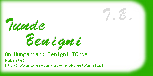 tunde benigni business card